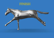 Racehorse Render finish.