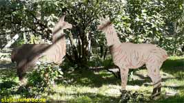 Garden stakes sheet steel lama and alpaca in the preserve height 150cm.