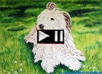 Dog Portrait Painting Modern Painting. Oil paint on canvas based on a photo template.