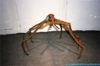 Chain spider.