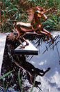 Copper sculpture unicorn