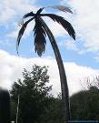 Decoration palm tree steel sheet outline.