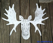 Elk bull head silhouette flat width 70 cm.