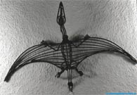 Flight-saurian wire sculpture.