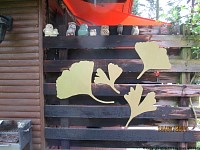 garden decoration ginkgo leafs gold varnish.