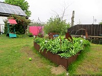 garden decoration raised beds tear drop plate I.