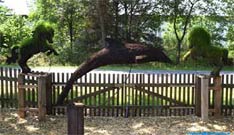 Garden Sculpture wire dolphin.