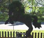 Wire horse garden Sculpture with peat and grass seed filled.