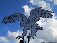 garden stakes metal sheet bird of prey.