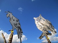 garden stakes metal sheet owl parrot.