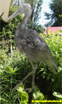 Garden stakes metal sheet rattling stork.