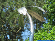 Metal palm tree decoration.