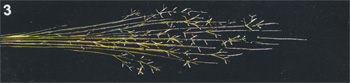 Spark picture elements.