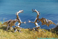 Steel dragons on the Baltic Sea.