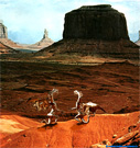 Steel dragons in Navajo.