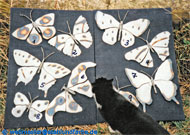 Steel sheet decoration butterflies.