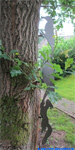 Eichhörnchen und Specht Gartendeko Stahlblech blank für die Baumbefestigung. 