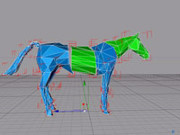 Horse Build.