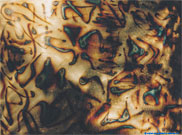 Miro.1991.