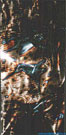 Stahlbild Colibri. 1991.