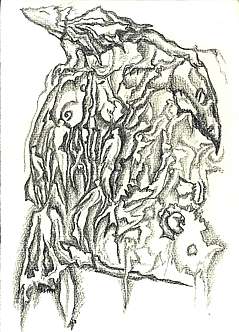 Portrait-Zeichnungen-Malerei-Kunst-03.09.1999